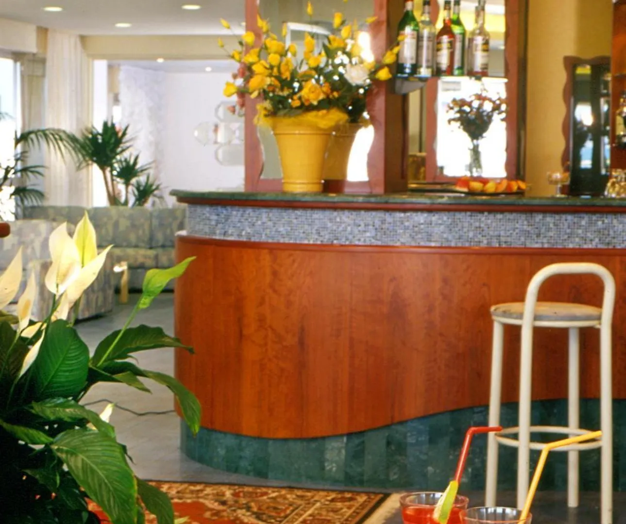 Hotel Foschi-Peninsula